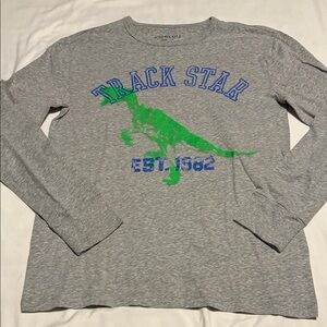 Crewcuts Gray Long Sleeve with Green and Blue Graphic